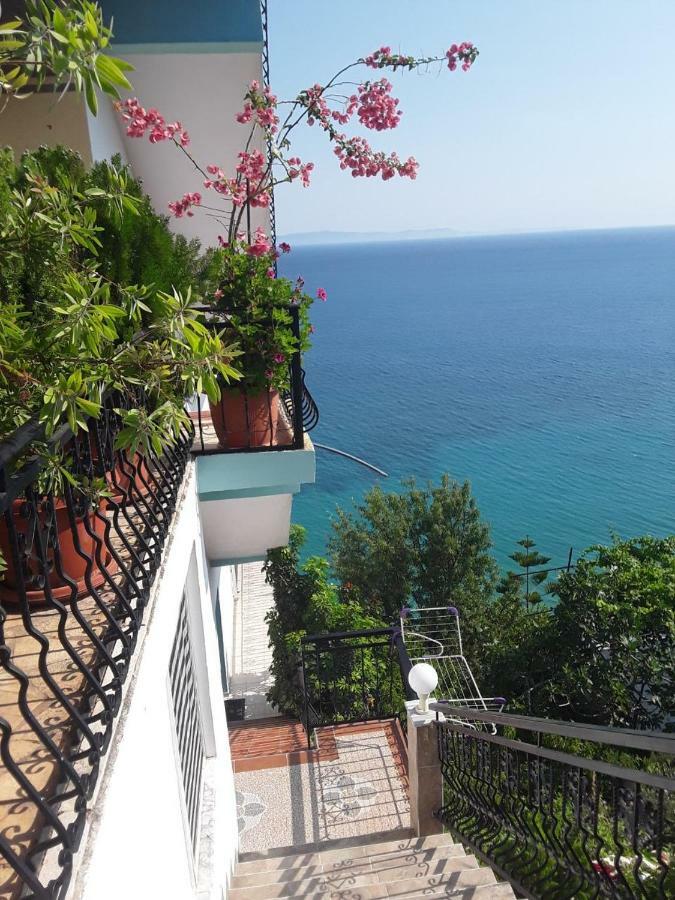 Odhisea Hotel Restaurant 科帕罗 外观 照片
